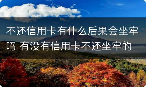 不还信用卡有什么后果会坐牢吗 有没有信用卡不还坐牢的