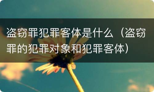 盗窃罪犯罪客体是什么（盗窃罪的犯罪对象和犯罪客体）