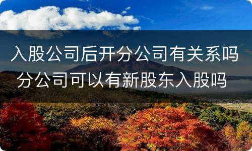 入股公司后开分公司有关系吗 分公司可以有新股东入股吗