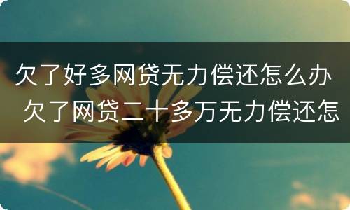 欠了好多网贷无力偿还怎么办 欠了网贷二十多万无力偿还怎么解决