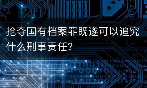 抢夺国有档案罪既遂可以追究什么刑事责任？
