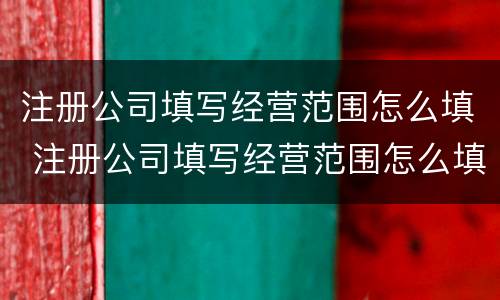 注册公司填写经营范围怎么填 注册公司填写经营范围怎么填写