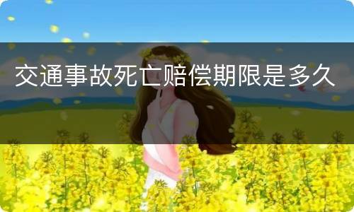 交通事故死亡赔偿期限是多久