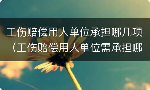 工伤赔偿用人单位承担哪几项（工伤赔偿用人单位需承担哪几项）