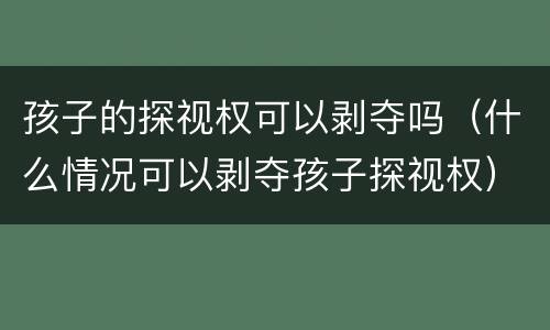 孩子的探视权可以剥夺吗（什么情况可以剥夺孩子探视权）