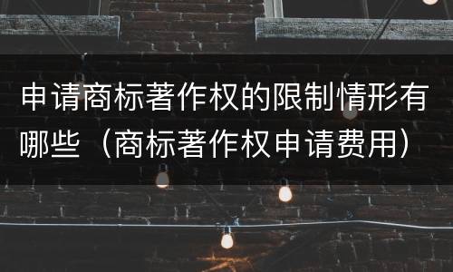 申请商标著作权的限制情形有哪些（商标著作权申请费用）