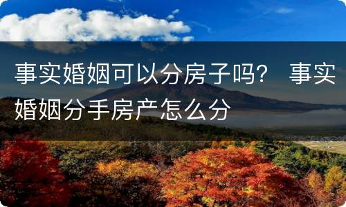 事实婚姻可以分房子吗？ 事实婚姻分手房产怎么分