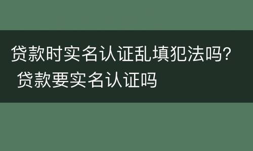 贷款时实名认证乱填犯法吗？ 贷款要实名认证吗