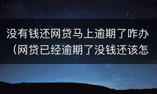 没有钱还网贷马上逾期了咋办（网贷已经逾期了没钱还该怎么办）