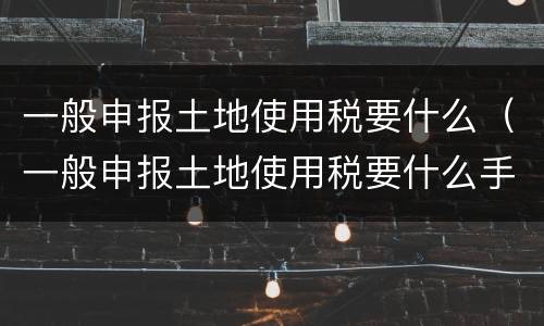一般申报土地使用税要什么（一般申报土地使用税要什么手续）