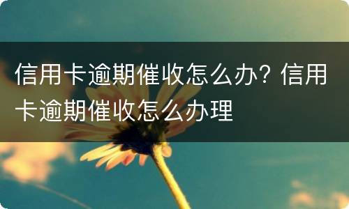 信用卡逾期催收怎么办? 信用卡逾期催收怎么办理