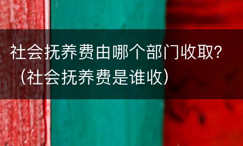 社会抚养费由哪个部门收取？（社会抚养费是谁收）