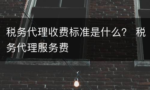 税务代理收费标准是什么？ 税务代理服务费