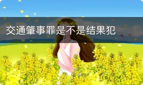 交通肇事罪是不是结果犯