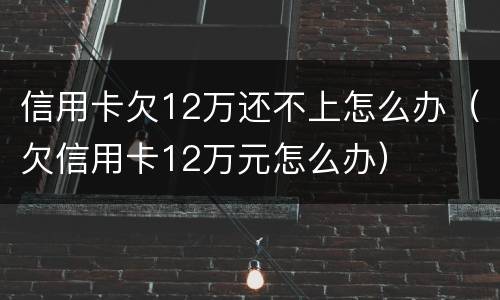 信用卡欠12万还不上怎么办（欠信用卡12万元怎么办）