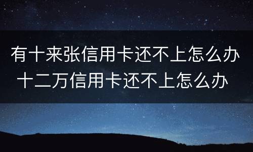 有十来张信用卡还不上怎么办 十二万信用卡还不上怎么办