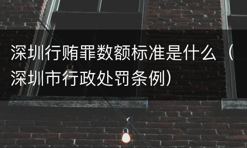 深圳行贿罪数额标准是什么（深圳市行政处罚条例）