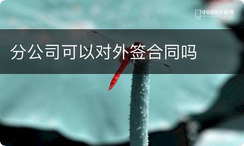 分公司可以对外签合同吗