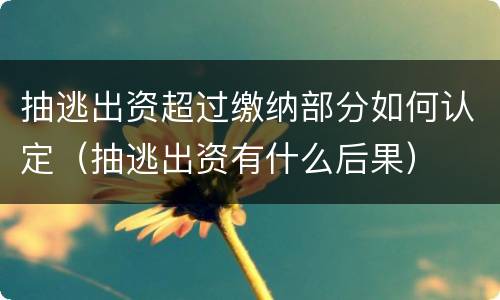 抽逃出资超过缴纳部分如何认定（抽逃出资有什么后果）