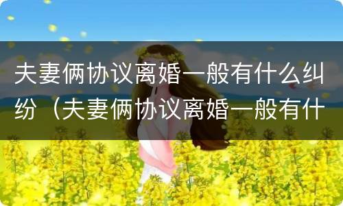 夫妻俩协议离婚一般有什么纠纷（夫妻俩协议离婚一般有什么纠纷呢）