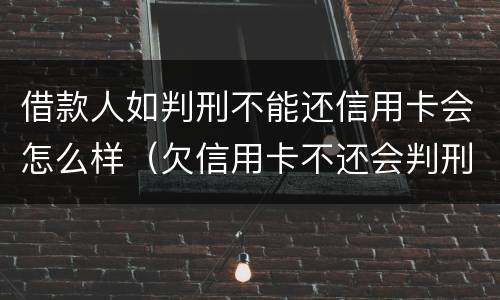 借款人如判刑不能还信用卡会怎么样（欠信用卡不还会判刑吗）