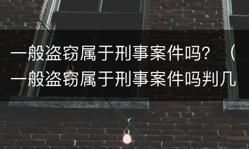 一般盗窃属于刑事案件吗？（一般盗窃属于刑事案件吗判几年）