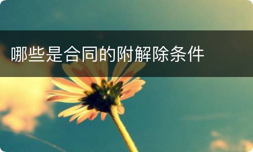 哪些是合同的附解除条件