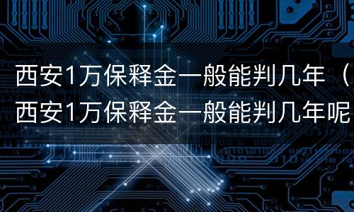 西安1万保释金一般能判几年（西安1万保释金一般能判几年呢）