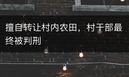 擅自转让村内农田，村干部最终被判刑