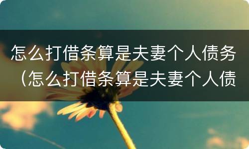 怎么打借条算是夫妻个人债务（怎么打借条算是夫妻个人债务呢）