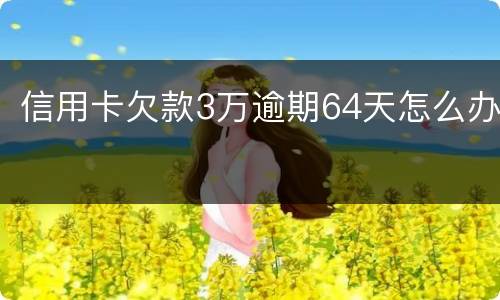 信用卡欠款3万逾期64天怎么办