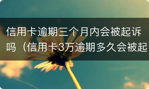 信用卡逾期三个月内会被起诉吗（信用卡3万逾期多久会被起诉）