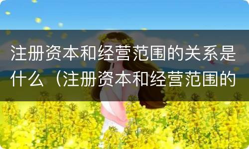注册资本和经营范围的关系是什么（注册资本和经营范围的关系是什么呢）