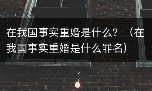 在我国事实重婚是什么？（在我国事实重婚是什么罪名）