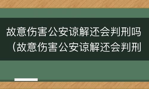 故意伤害公安谅解还会判刑吗（故意伤害公安谅解还会判刑吗）