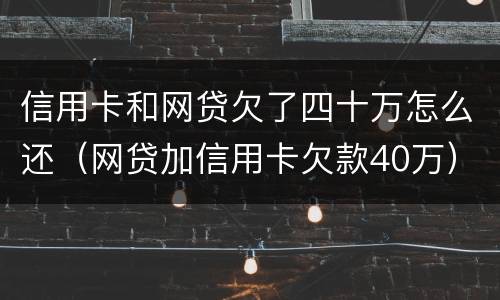 信用卡和网贷欠了四十万怎么还（网贷加信用卡欠款40万）