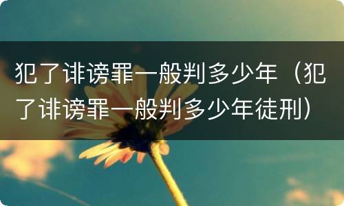 犯了诽谤罪一般判多少年（犯了诽谤罪一般判多少年徒刑）