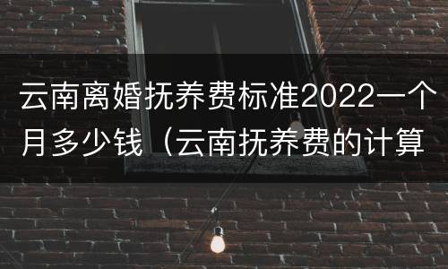 云南离婚抚养费标准2022一个月多少钱（云南抚养费的计算标准）