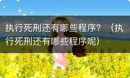 执行死刑还有哪些程序？（执行死刑还有哪些程序呢）