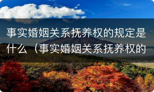 事实婚姻关系抚养权的规定是什么（事实婚姻关系抚养权的规定是什么意思）
