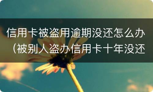 信用卡被盗用逾期没还怎么办（被别人盗办信用卡十年没还）