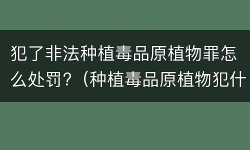 犯了非法种植毒品原植物罪怎么处罚?（种植毒品原植物犯什么罪）