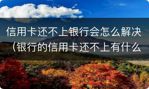 信用卡还不上银行会怎么解决（银行的信用卡还不上有什么后果）