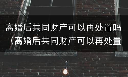 离婚后共同财产可以再处置吗（离婚后共同财产可以再处置吗法律规定）