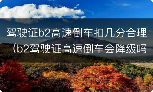 驾驶证b2高速倒车扣几分合理（b2驾驶证高速倒车会降级吗）