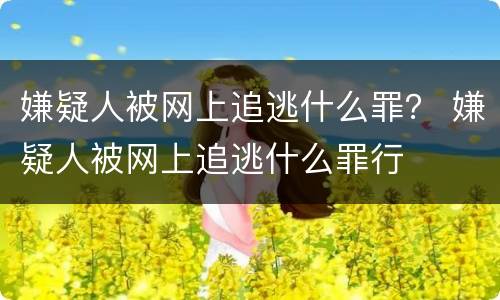 嫌疑人被网上追逃什么罪？ 嫌疑人被网上追逃什么罪行