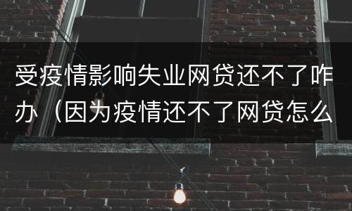 受疫情影响失业网贷还不了咋办（因为疫情还不了网贷怎么办）