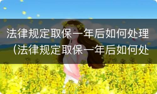 法律规定取保一年后如何处理（法律规定取保一年后如何处理违章）