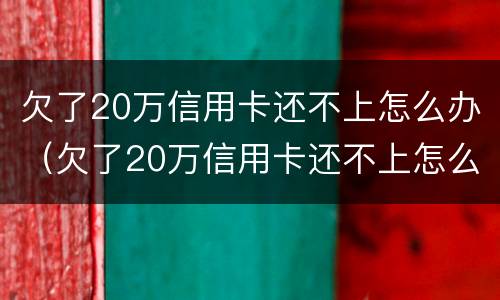 欠了20万信用卡还不上怎么办（欠了20万信用卡还不上怎么办,不想还了）