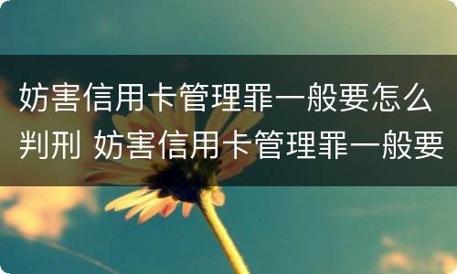 妨害信用卡管理罪一般要怎么判刑 妨害信用卡管理罪一般要怎么判刑呢